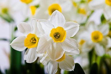 《崛起力量：添命人》第2章将于明年2月免费更新